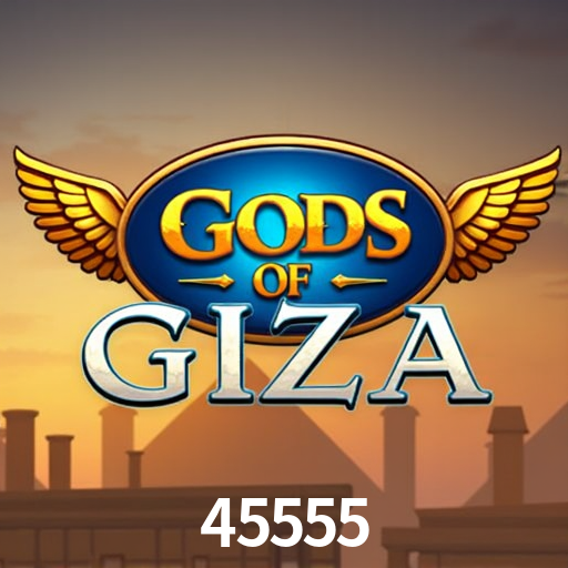 45555 App Interface